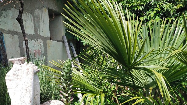 Une statue dans un jardin, entourée d’une végétation luxuriante, avec un bâtiment en arrière-plan.