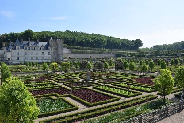 Chateaux de la Loire - Chateaux de Villandry (40 mn du gîte)
