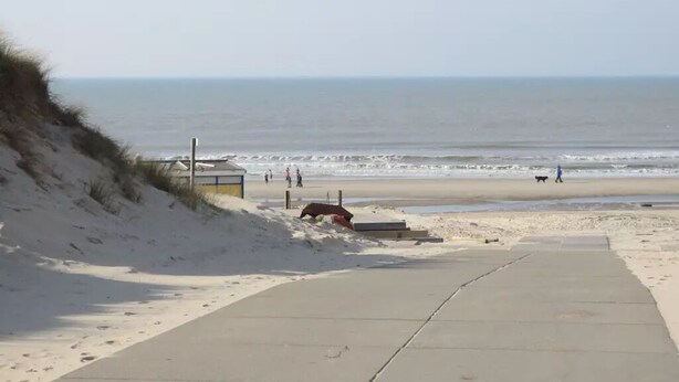 A beach with a concrete walkway leading to the shore, a small structure, and a dog on the sand.