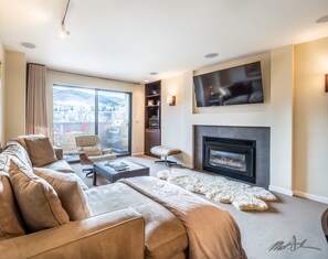 Televisión, chimenea, reproductor de DVD y libros