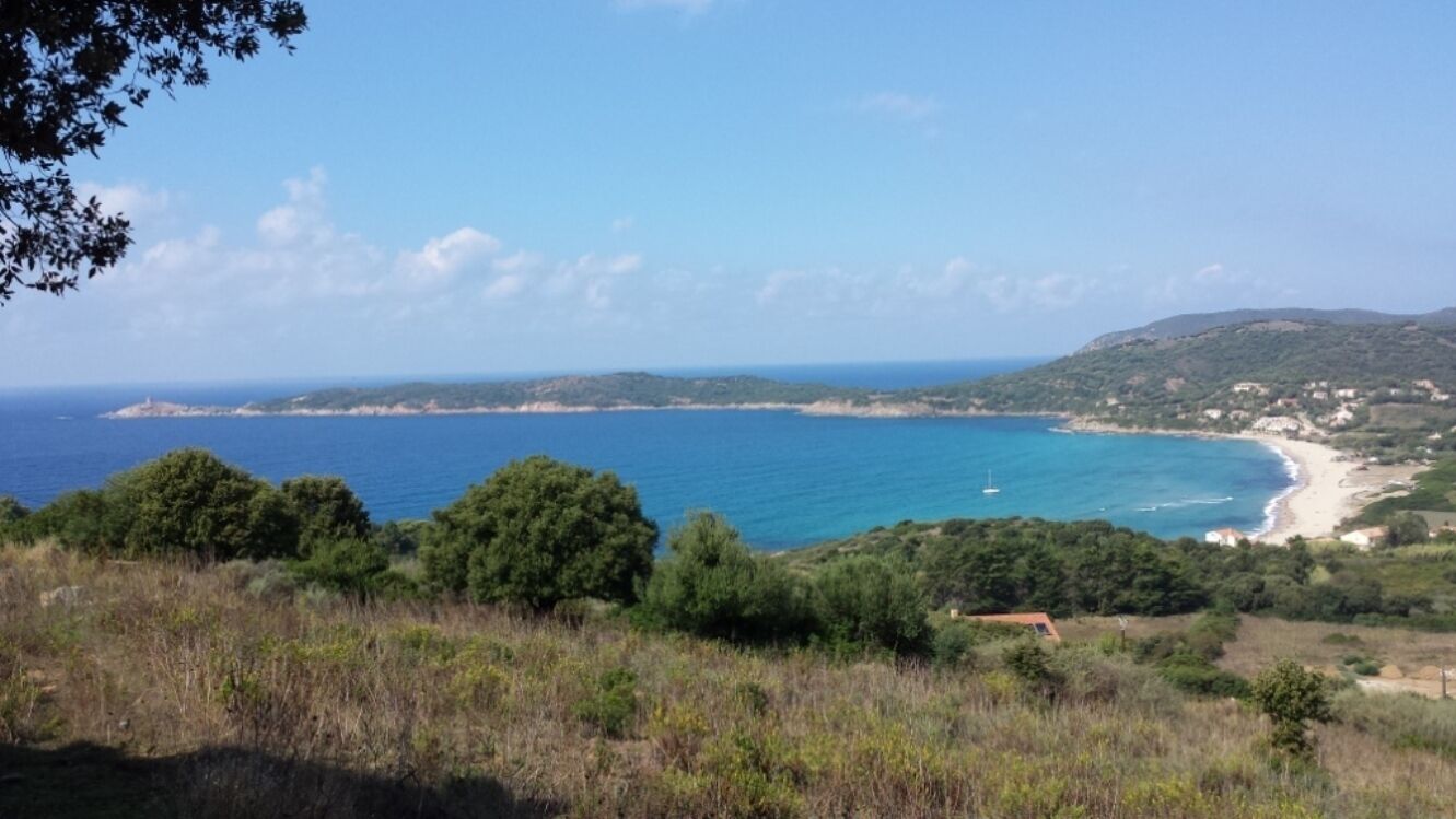 Eine Küstenlandschaft mit Strand, Bäumen und blauem Himmel.