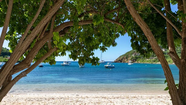 A beach with clear turquoise water, boats, and a tree-lined view. - Southern Star Villa Kayaks, SUPS, Steps to Beach (Cruz Bay)