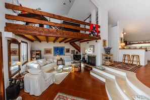 TV, fireplace, DVD player, books