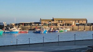 A harbor with boats docked, a building with a flat roof, and a fence along the waterfront. - Fine period home on country estate, Lyme Regis (Lyme Regis)