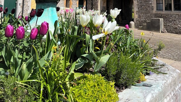 A historic building with a clock tower, a stone facade, and a fountain with flowers. - Fine period home on country estate, Lyme Regis (Lyme Regis)