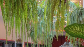 An outdoor dining area with tables and chairs, hanging ferns, and a stone wall. - Hotel Camino Maya (Copan Ruinas)