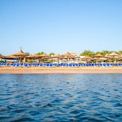 Private beach, free beach shuttle, beach bar