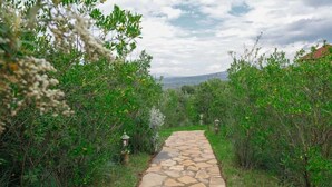 A stone pathway flanked by lush greenery and small lanterns, leading towards a distant view.