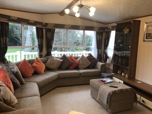 Smart TV, chimenea y libros 