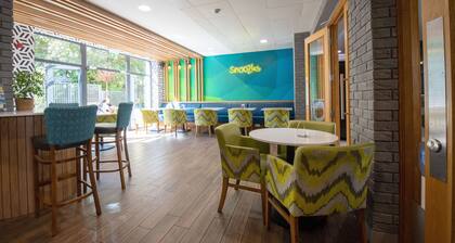 Snoozles Galway City Centre