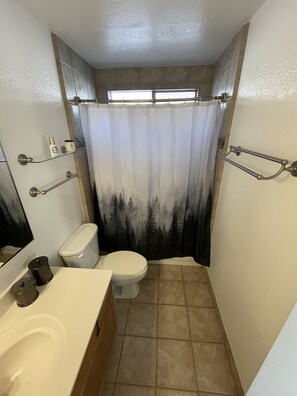Bathroom features a white toilet, glass shower enclosure, and a sink with a mirror.