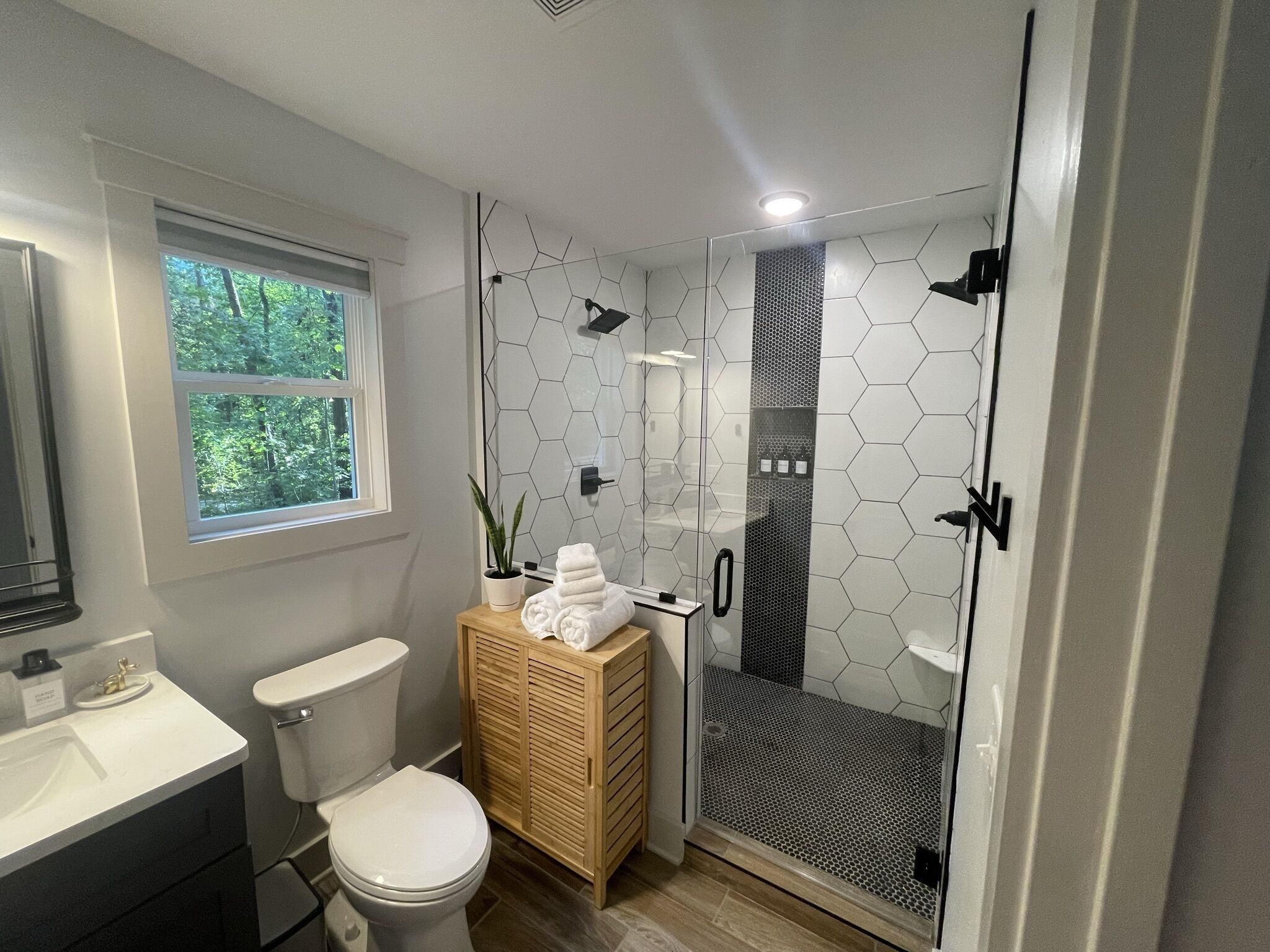 Shower, hair dryer, towels