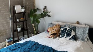 A cozy bedroom with a bed, a wooden ladder, a large plant, and a wall-mounted shelf with pictures. - 1+1 heritage loft in trendy dt Toronto (Toronto)