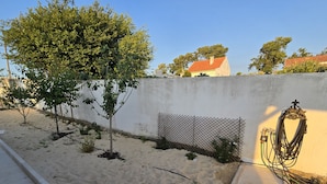 A sandy outdoor area with a white wall, a metal fence, and a tree.