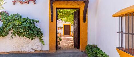 A narrow entrance to a building with a yellow door and a black frame, surrounded by greenery and a white wall.