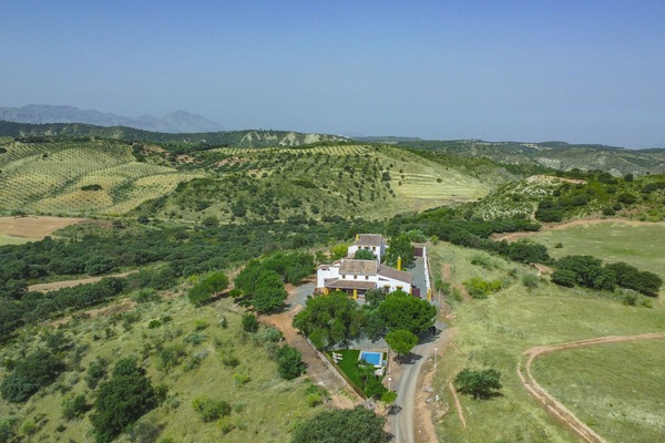 Rural house with pool in Archidona