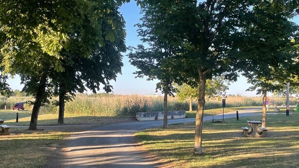 Un sentier aménagé dans un parc, bordé d’arbres et doté de tables de pique-nique.