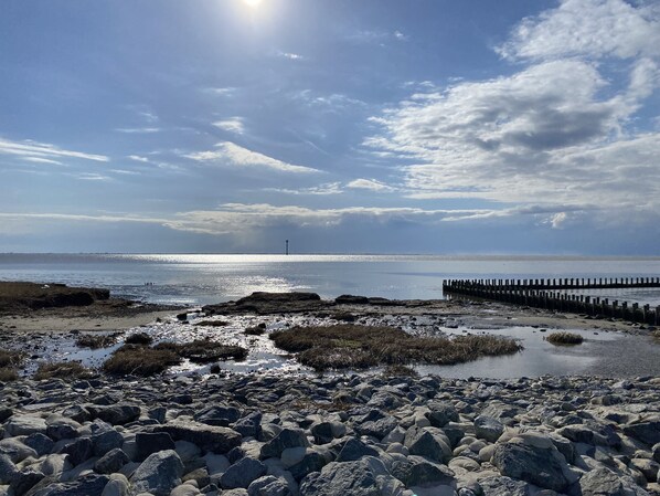 Playa en los alrededores y camastros 