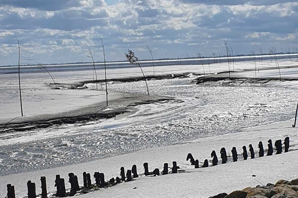 Una playa cerca, sillas reclinables de playa