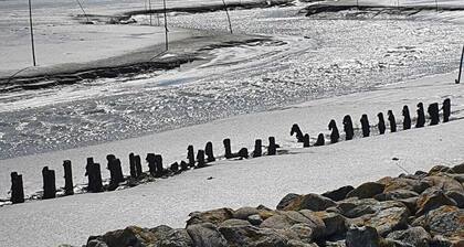 Nordsee * Ferienhaus für die ganze Familie * Hunde willkommen