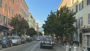 Straatbeeld met geparkeerde auto's, gebouwen met winkels en bomen langs de weg.