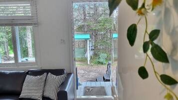 Televisión y chimenea