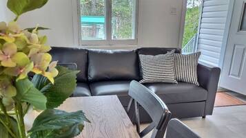 Televisión y chimenea