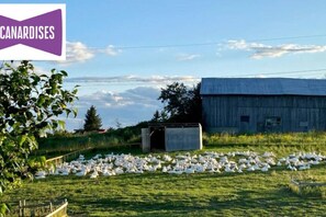 Overnattingsstedets uteområder