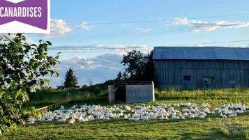 Áreas de la propiedad