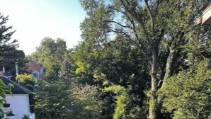 Ein Gartenweg führt zu einer Rasenfläche, links davon befindet sich ein weißes Gebäude.