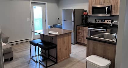 Downtown Dubuque Retreat, Spa Access, Private Deck, One block to Farmers Market,