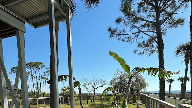 A hot tub with a view of the ocean and palm trees. - Bayfront House w/ Hot Tub & Dock Access (Cape San Blas)
