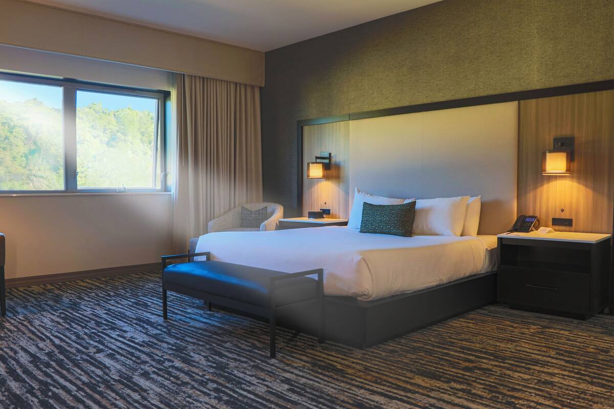 A hotel room with a large bed, a chair, a desk, and a window with a view of trees.
