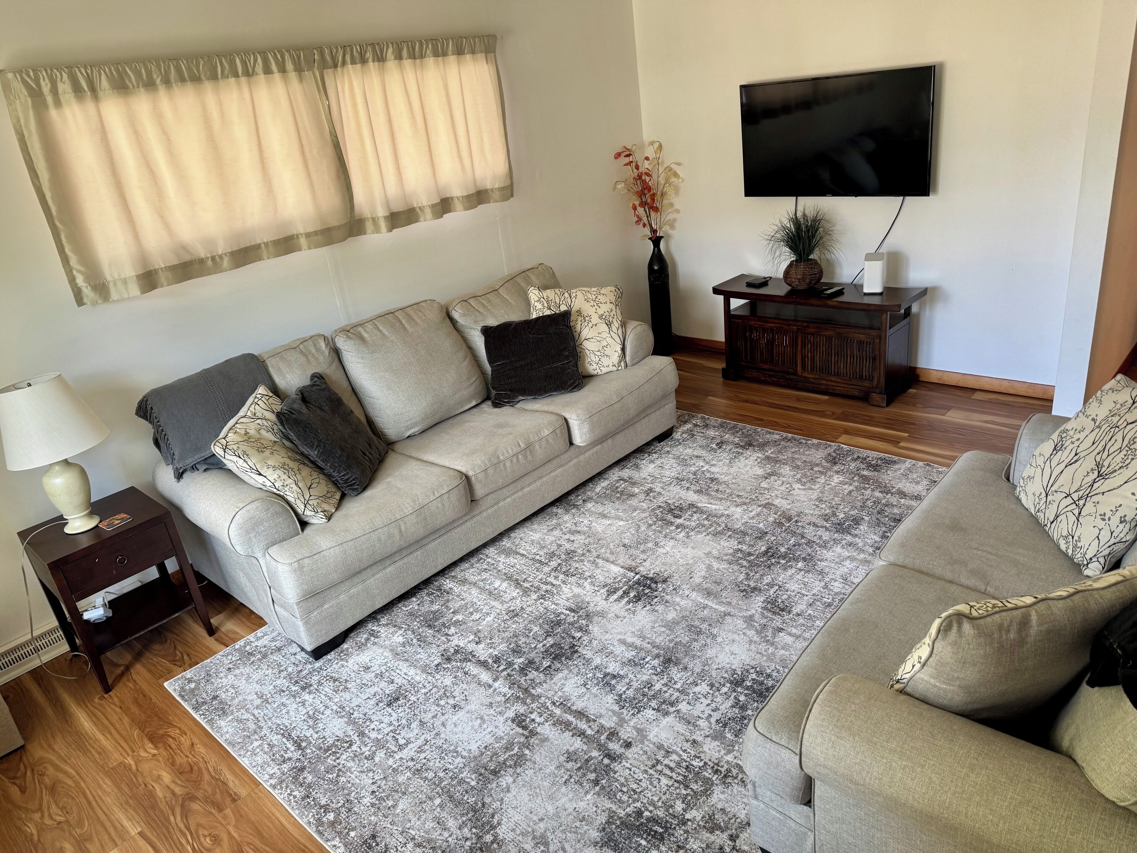 TV, computer monitors