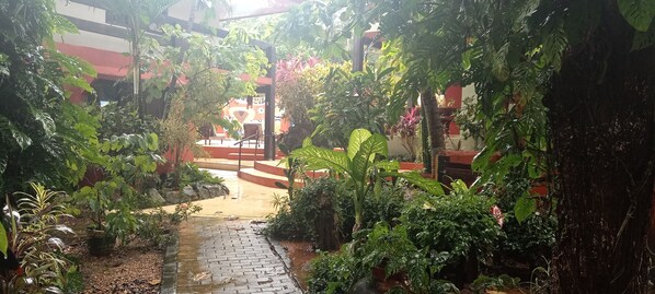 A pathway leading to a building with a red and white facade, surrounded by lush greenery and potted plants.