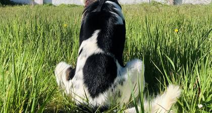 Joyeux Refuge De Famille au coeur d'un charmant village de l'Ăźle