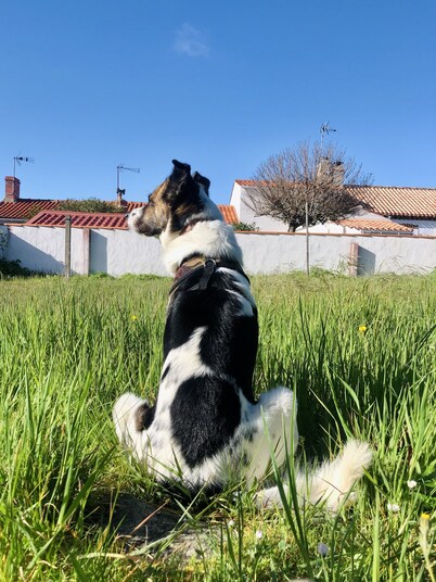 Joyeux Refuge De Famille in the heart of a charming island village