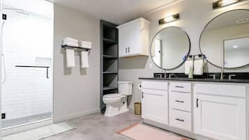 Hair dryer, soap, shampoo, toilet paper