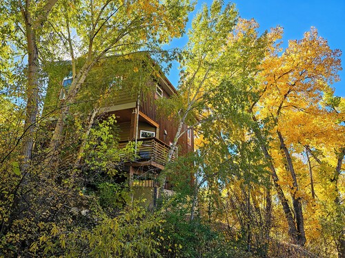 Laura's View Tower - King, Birders' Paradise, Desks, Wifi