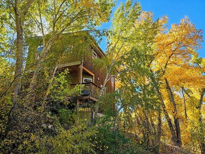 Laura's View Tower - King, Birders' Paradise, Desks, Wifi