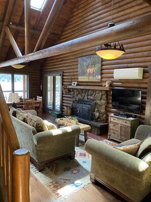 Smart TV, chimenea, libros y videoteca