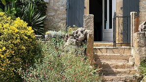 Un edificio de piedra con puerta y contraventanas de madera, rodeado por un camino de grava y diversas plantas.