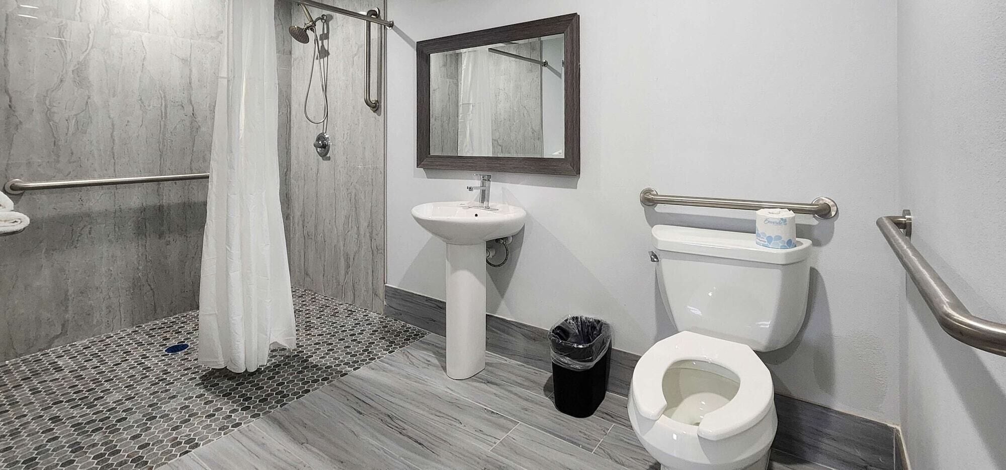 A bathroom with a shower, sink, toilet, and a mirror.