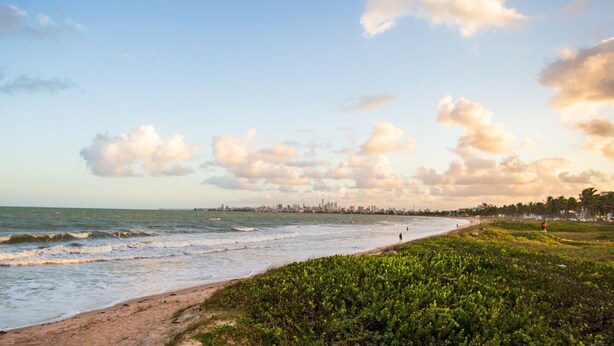 Una playa con olas, el horizonte de una ciudad a lo lejos y un área verde con gente.