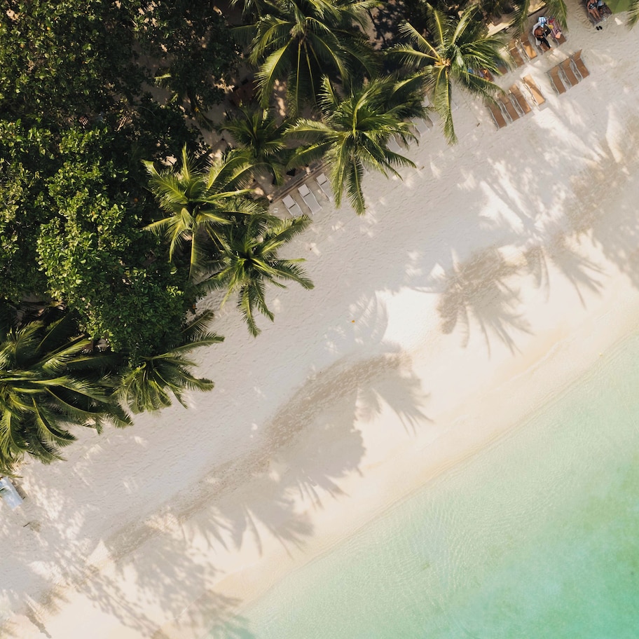 An aerial view of a beach with palm trees and a sandy shoreline.