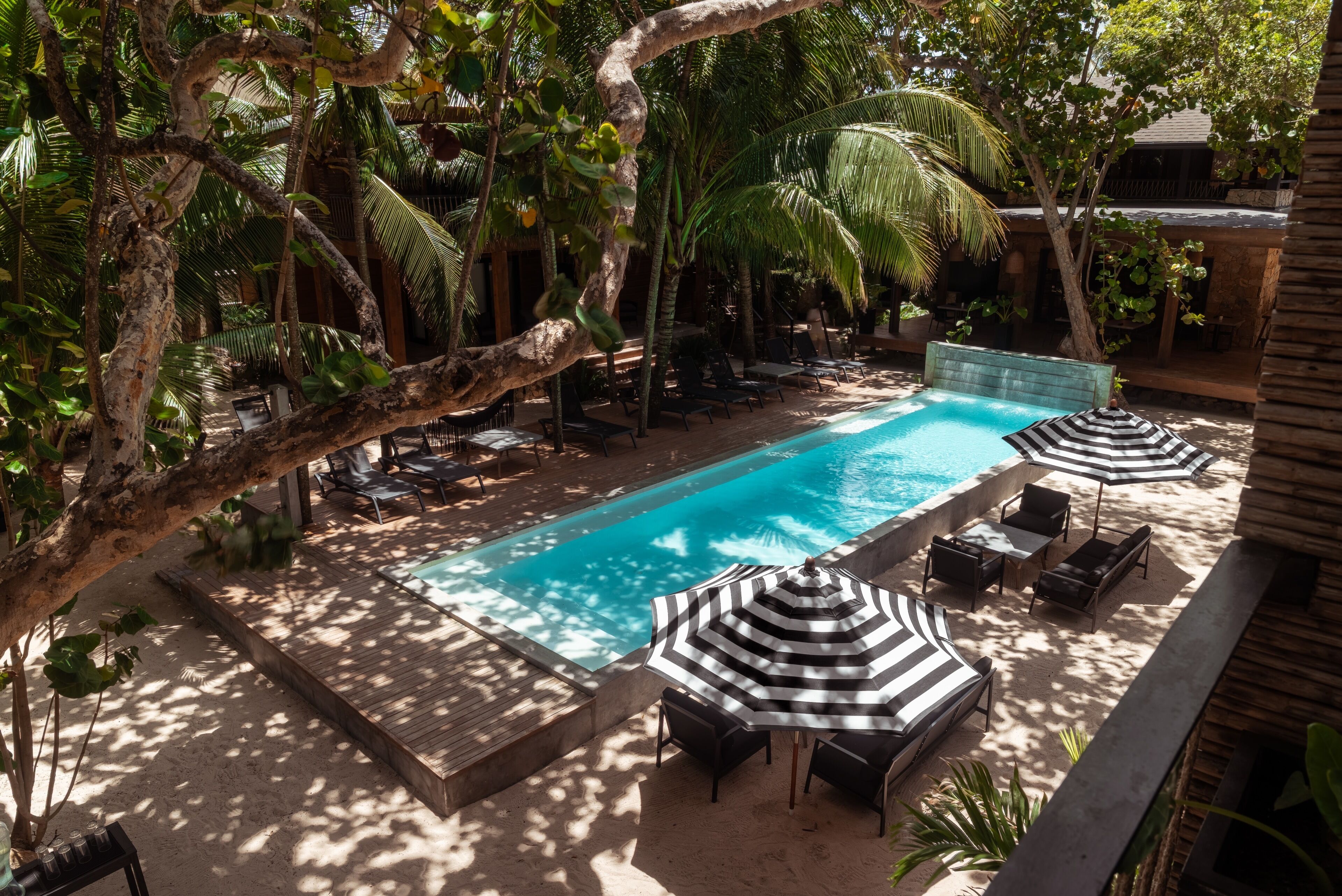 Un área de piscina con sillas de descanso y sombrillas, rodeada de palmeras y una terraza de madera.