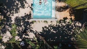 An aerial view of a rectangular swimming pool with two people swimming, surrounded by palm trees and shaded by large leaves. - Arca Boutique Hotel (Roatan)