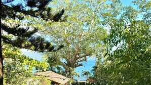 A pathway leading through a well-maintained garden with a variety of trees and shrubs, a small structure, and a view of the sea in the background.