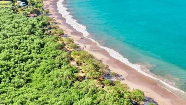 Eine Küstenlandschaft mit einem gewundenen Sandstrand, klarem türkisblauem Wasser und üppiger grüner Vegetation.