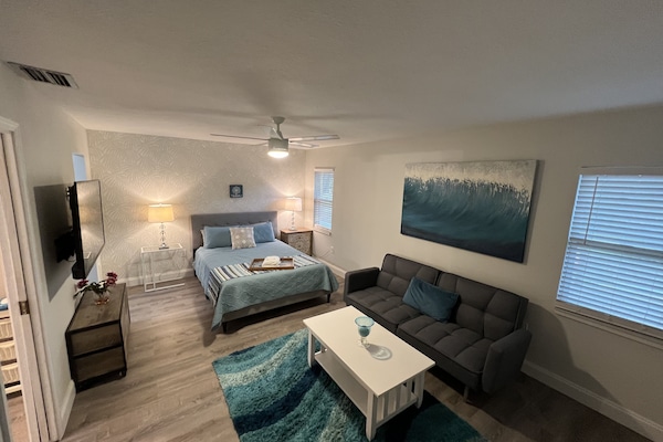 Queen Bed and Futon - 55 inch FireTV